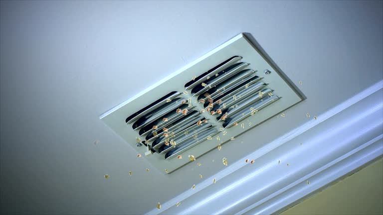 Best Ventilation Cleaning Services  in Franklin, GA